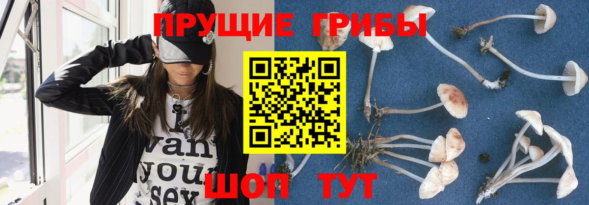 Псилоцибиновые грибы GOLDEN TEACHER Верхний Уфалей